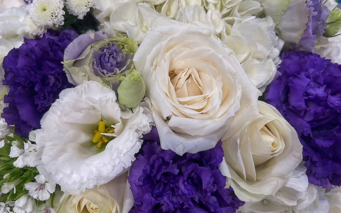 Schnittblumen von Blumen Gollner