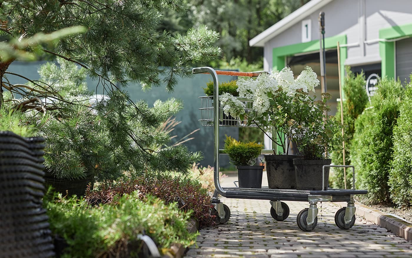 Gr&uuml;npflanzen im Gartencenter vom Blumenland Gollner