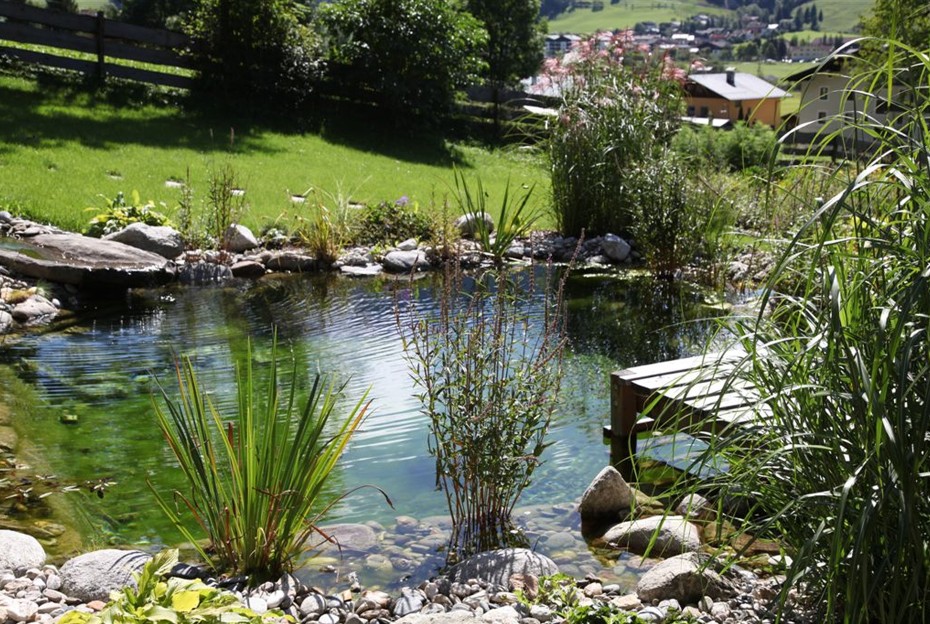 Gartenplanung und Poolbau vom Blumen Gollner