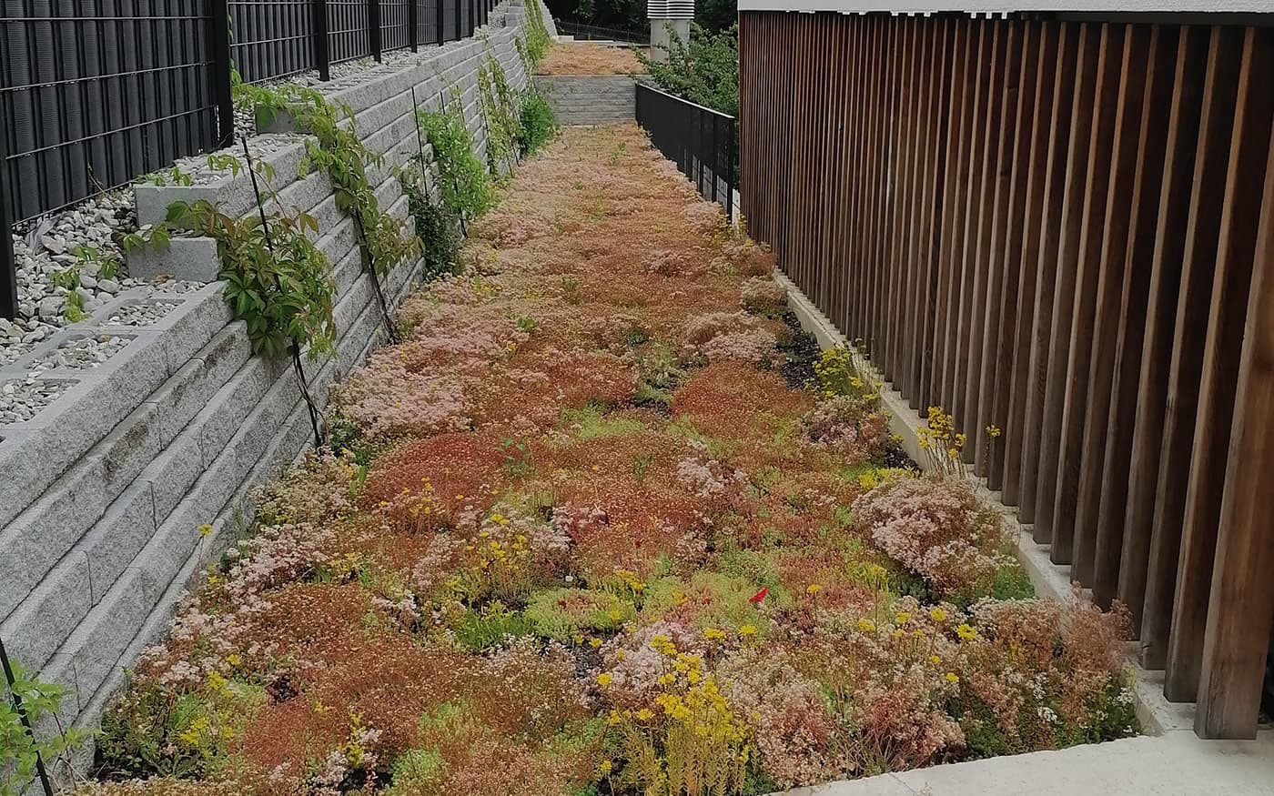 Ein bepflanzter Innenhof mit Kr&auml;utern und Blumen zwischen einer Mauer und einem Holzzaun