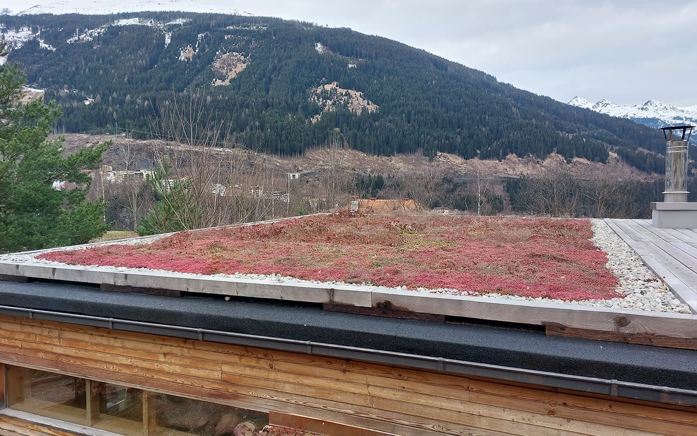 Ein begr&uuml;ntes Dach mit rotem Bewuchs vor einer bergigen Waldlandschaft