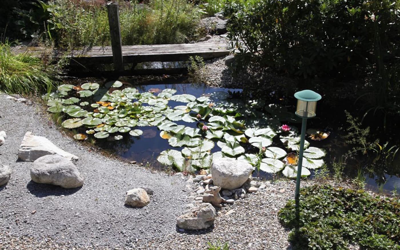 Kleiner Gartenteich mit Seerosen, umgeben von Steinen und einer Holzbr&uuml;cke