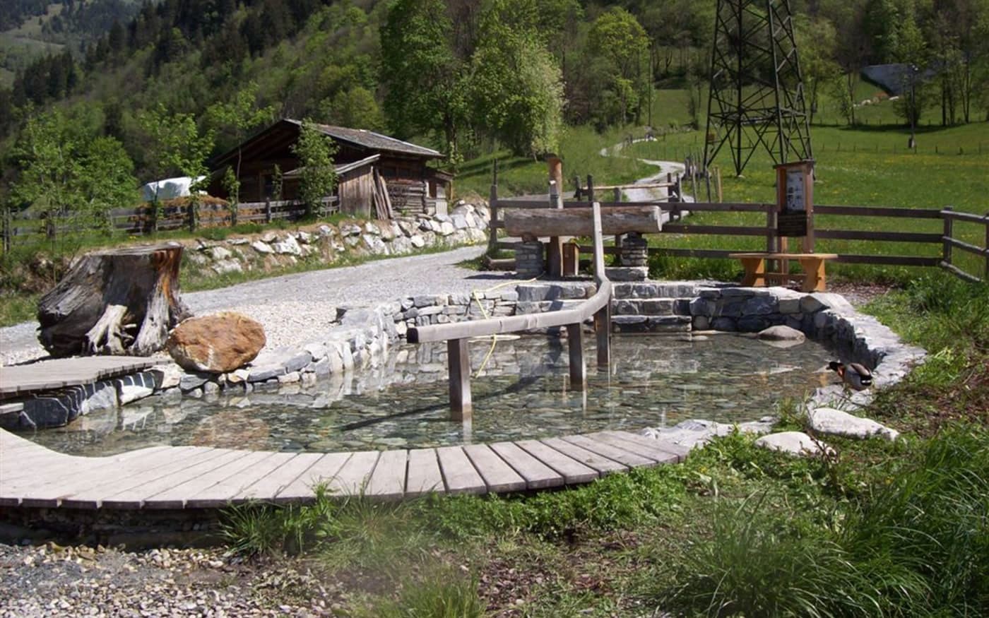 Kleiner Teich mit Holzsteg in idyllischer Berglandschaft mit H&uuml;tte im Hintergrund