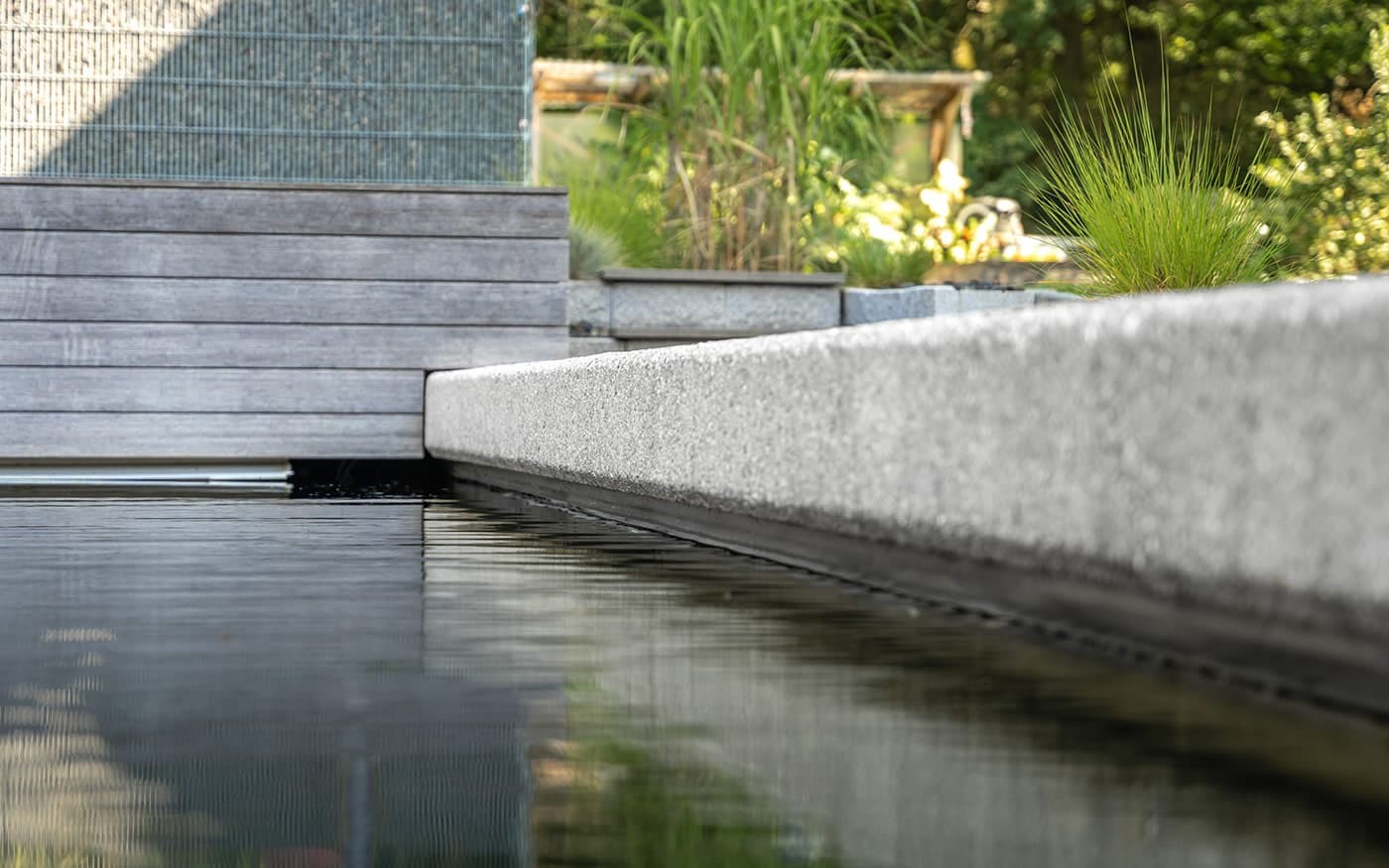 Wasserbecken neben Holzwand und Pflanzen in modernem Garten