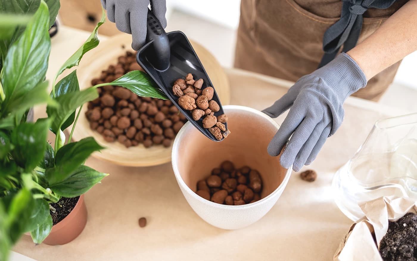 Eine Person f&uuml;llt Bl&auml;hton in einen Blumentopf, neben einer gr&uuml;nen Pflanze