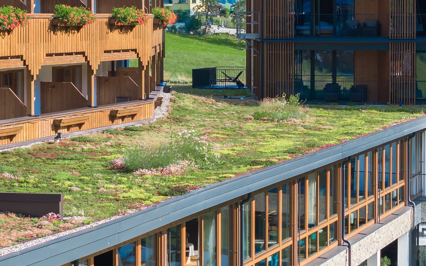 Dachbegr&uuml;nung durch Blumen Gollner