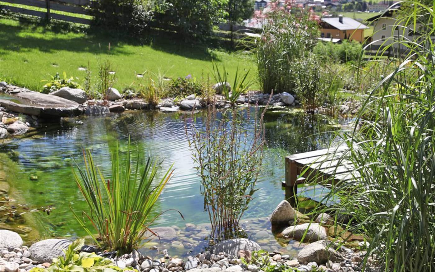 Naturpool mit Biotop vom Blumenland Gollner