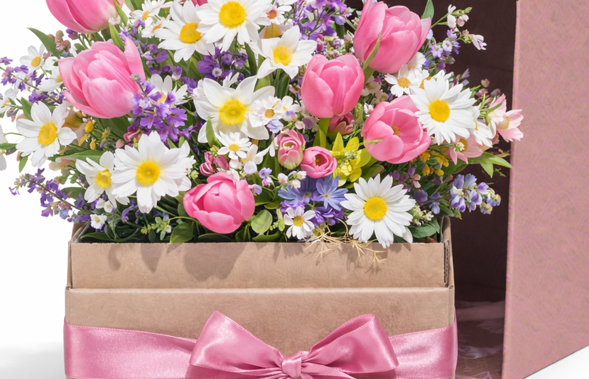 Blühauf Blumenboxen als Geschenksidee