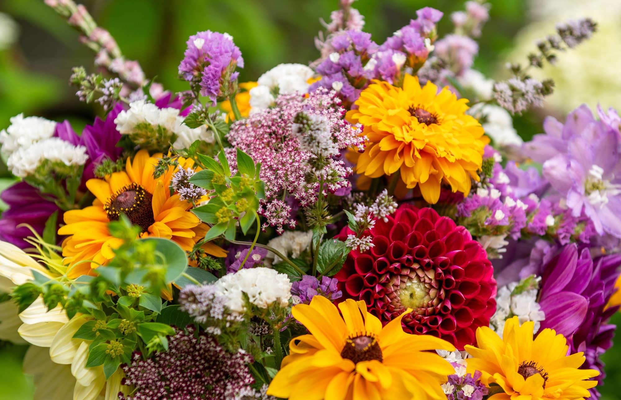 Schnittblumen von Blumen Gollner