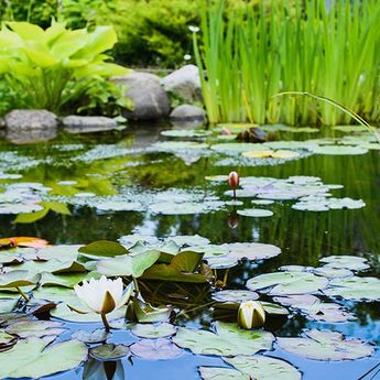 Gartengestaltung
